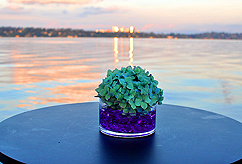 BOATHOUSE BIRTHDAY BASH